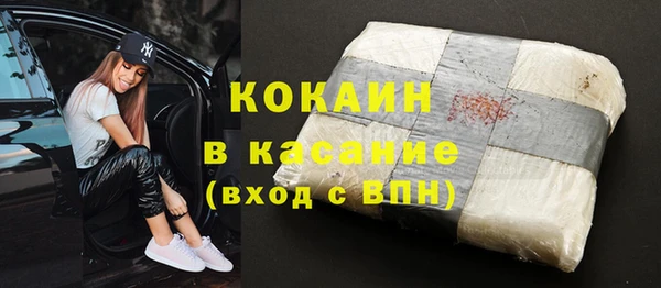 индика Алзамай