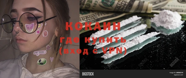 индика Алзамай