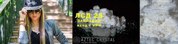 индика Алзамай