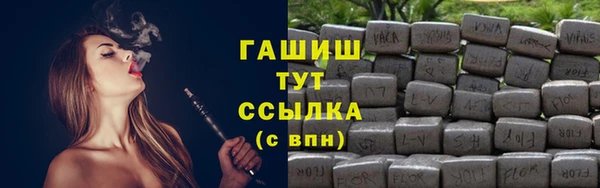 индика Алзамай