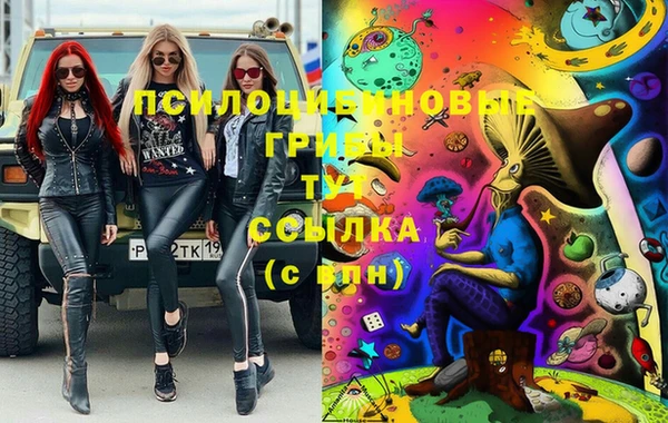 индика Алзамай