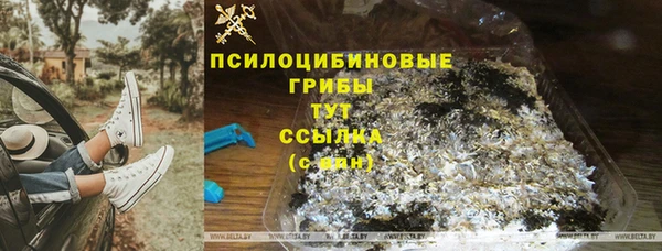 индика Алзамай