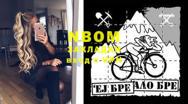 индика Алзамай