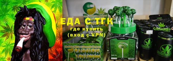 индика Алзамай