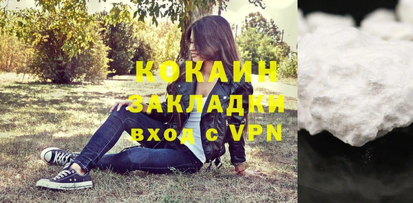 индика Алзамай