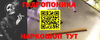 jwh Гусев