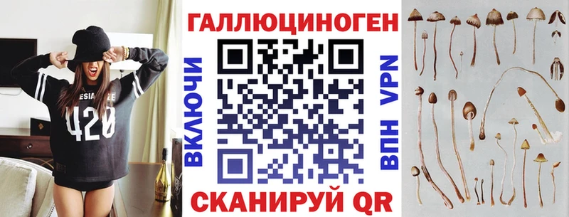 MEGA ссылка  Новозыбков  Псилоцибиновые грибы Psilocybe 