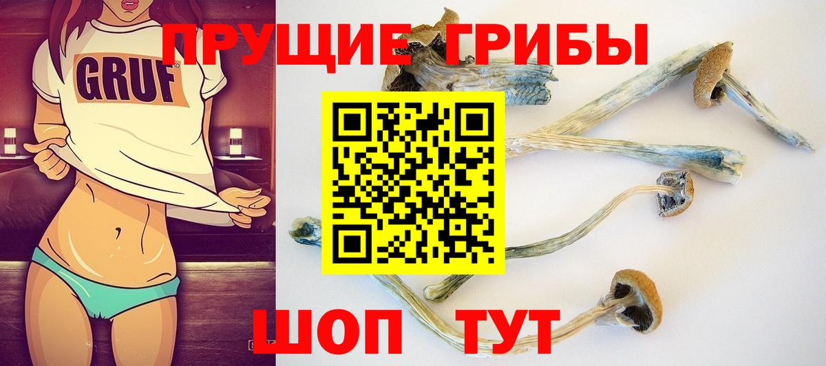 Псилоцибиновые грибы GOLDEN TEACHER  Вход с VPN  Новозыбков 