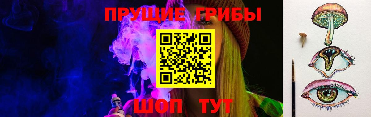 Псилоцибиновые грибы GOLDEN TEACHER Новозыбков