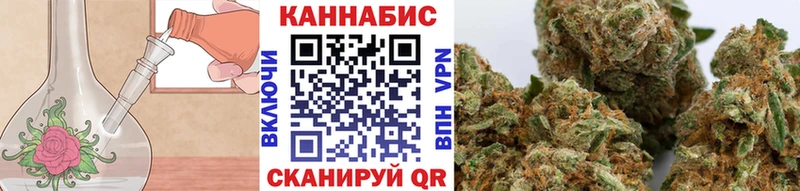 Бошки марихуана марихуана  Новозыбков 