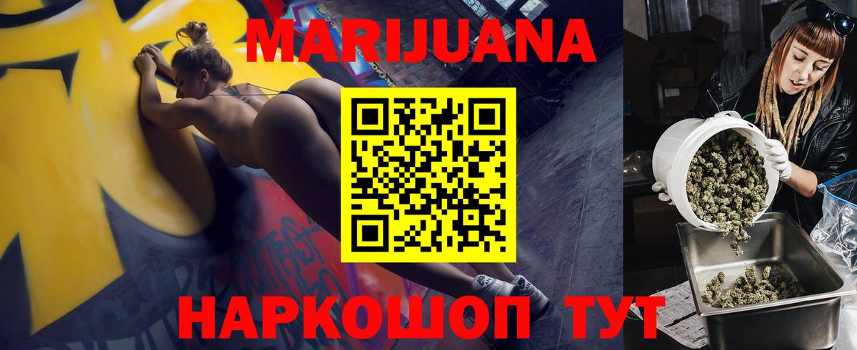 Новозыбков  Конопля индика  Вход с VPN  Бошки марихуана OG Kush 
